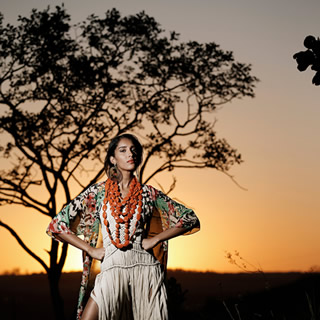 Safari cerrado